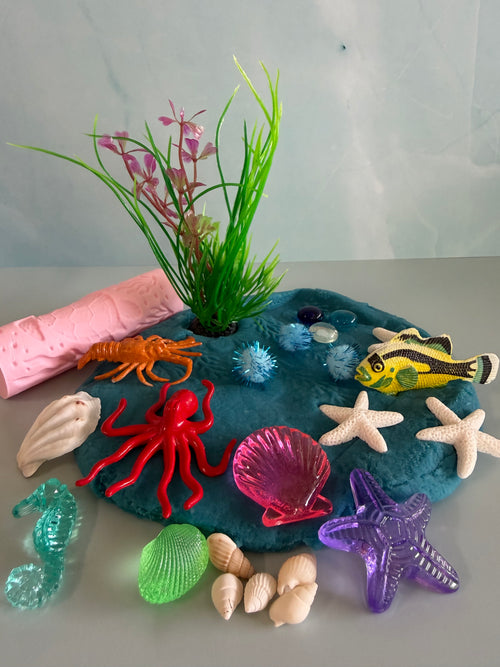 Ocean Explorers Play Jar 🌊🦀🐠